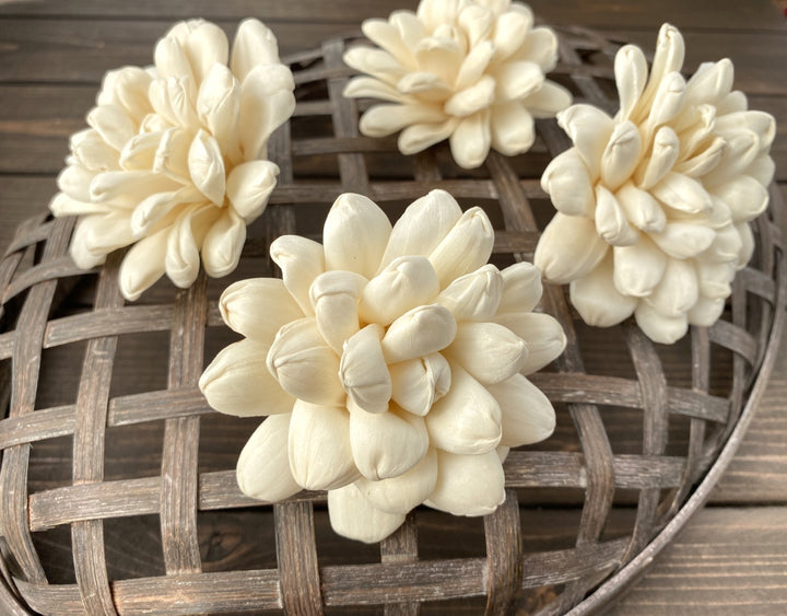 Sola Wood Flowers - Escape