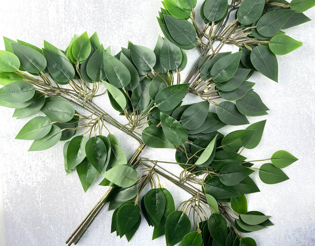 Ficus Leaves - Luv Sola Flowers - Faux Filler
