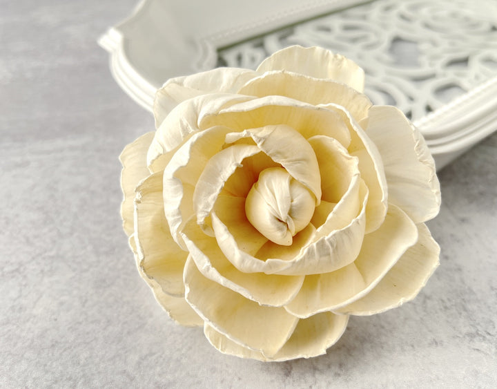 Sola Wood Flowers - Fiesta - Luv Sola Flowers