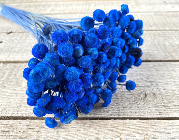 Floral Buttons - Luv Sola Flowers - Filler