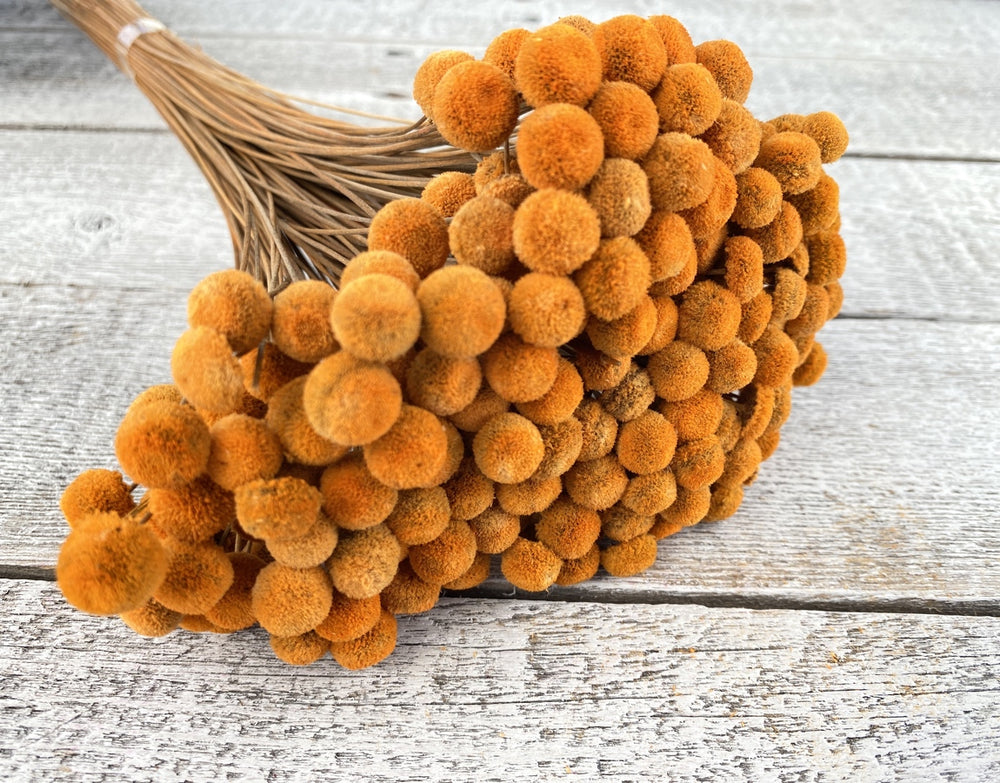 Floral Buttons - Luv Sola Flowers - Filler