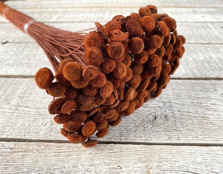 Floral Buttons - Luv Sola Flowers - Filler