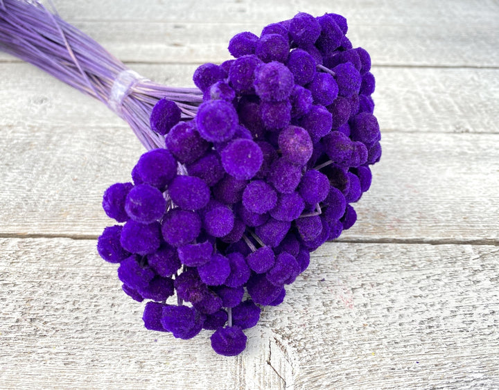 Floral Buttons - Luv Sola Flowers - Filler