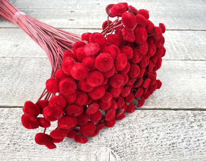 Floral Buttons - Luv Sola Flowers - Filler