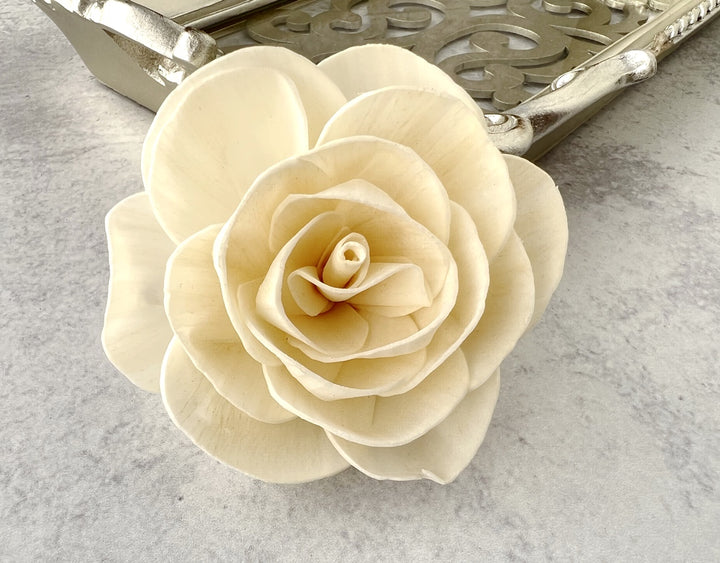 Sola Wood Flowers - French Rose - Luv Sola Flowers