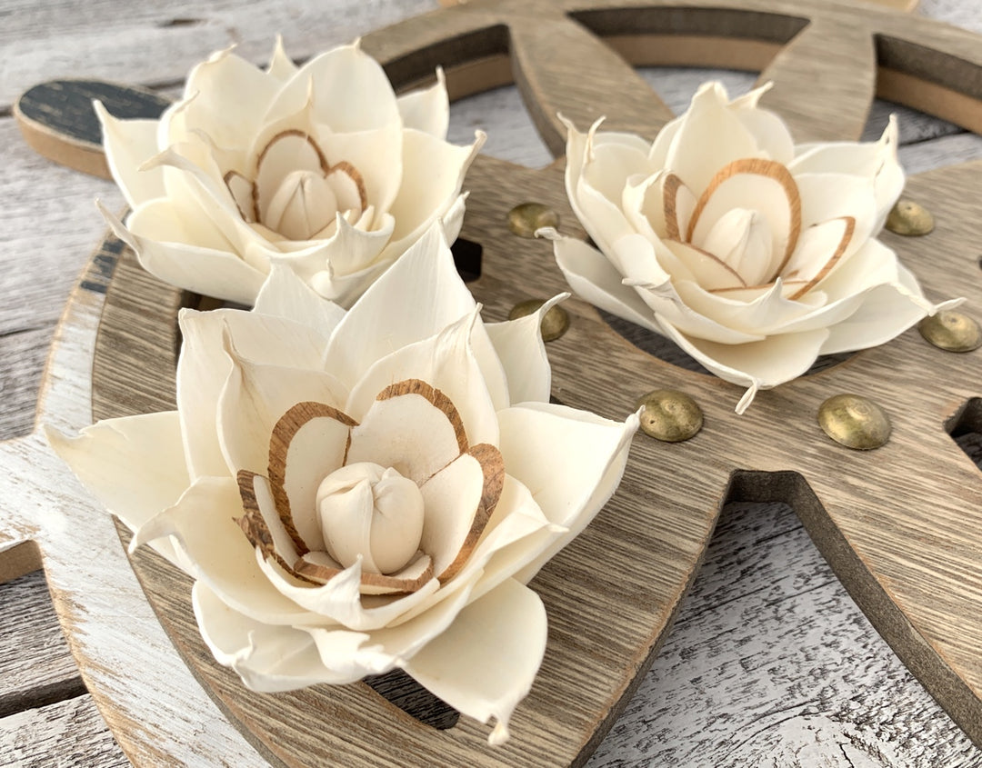 Sola Wood Flowers - Giselle - Luv Sola Flowers