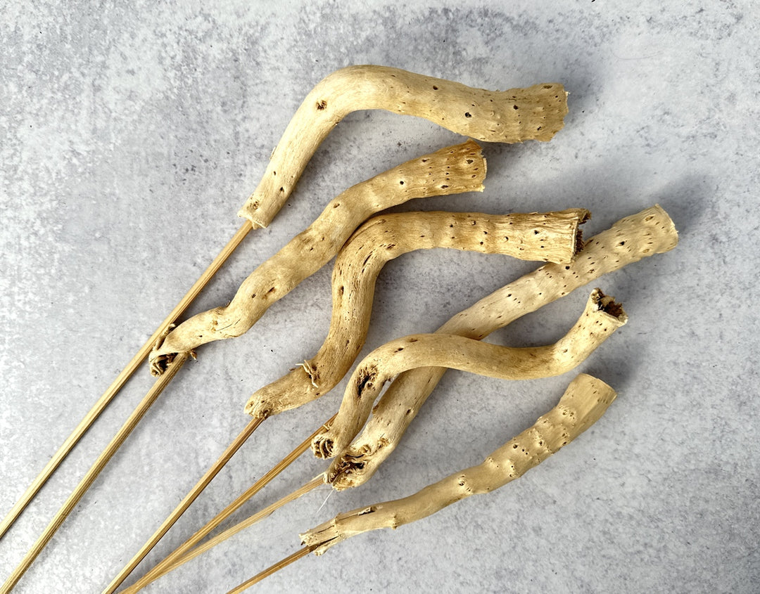 Gobi Tail - Luv Sola Flowers - Dried Botanicals