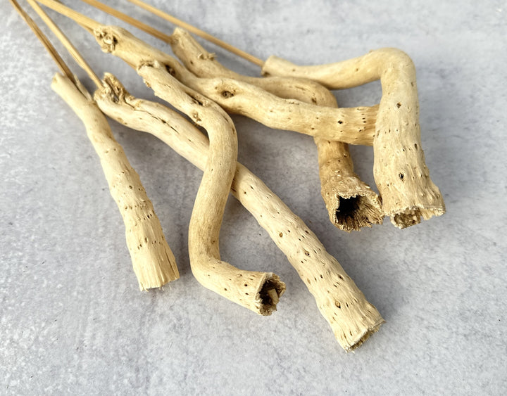 Gobi Tail - Luv Sola Flowers - Dried Botanicals