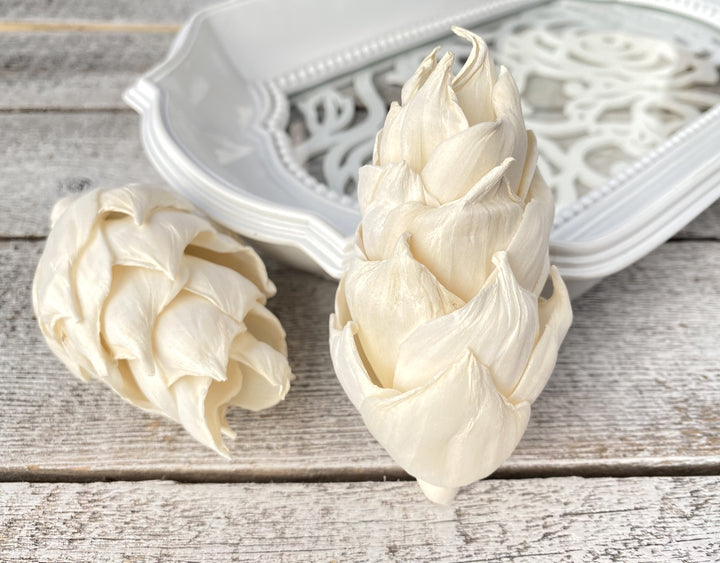 Sola Wood Flowers - Guilty Pleasures - Luv Sola Flowers