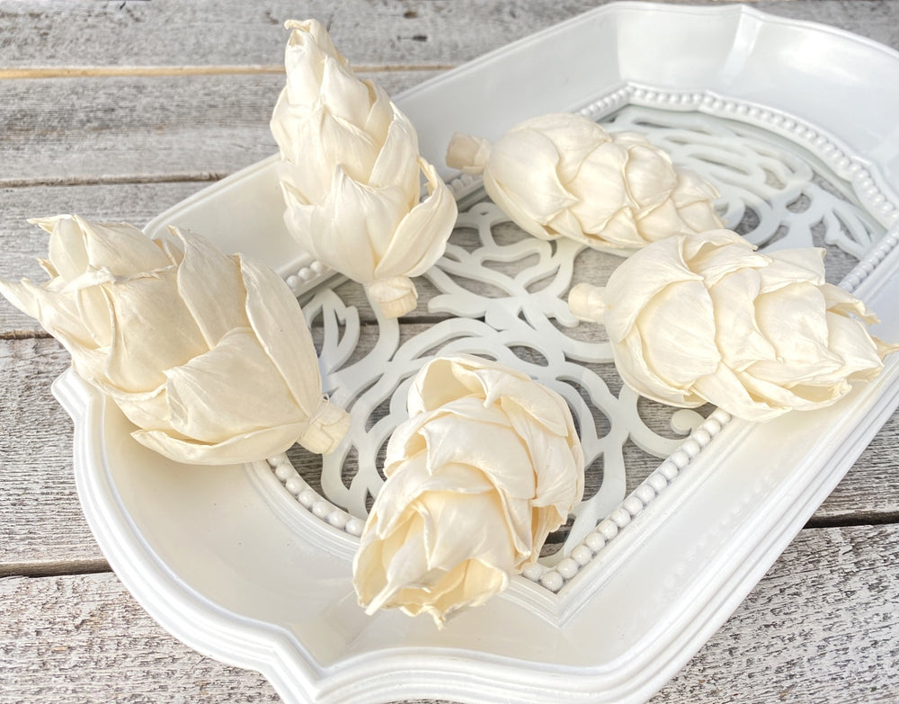 Sola Wood Flowers - Guilty Pleasures - Luv Sola Flowers