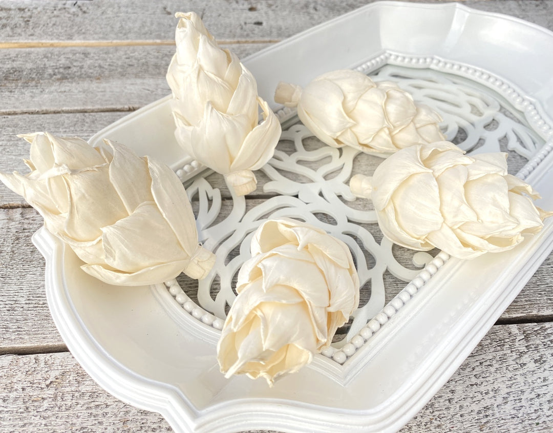 Sola Wood Flowers - Guilty Pleasures - Luv Sola Flowers