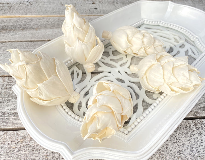 Sola Wood Flowers - Guilty Pleasures - Luv Sola Flowers