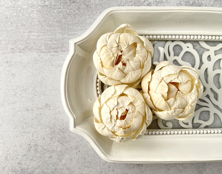 Sola Wood Flowers - Irresistible - Luv Sola Flowers