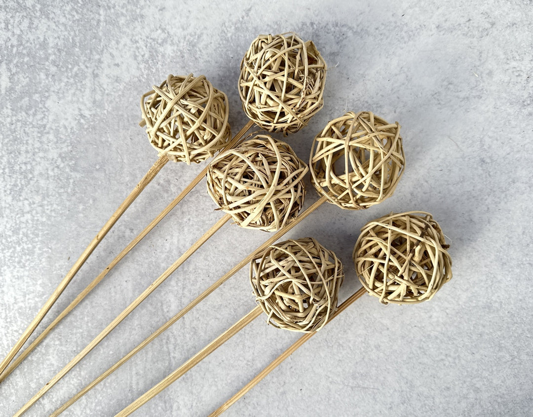 Lata Ball - Luv Sola Flowers - Dried Botanicals