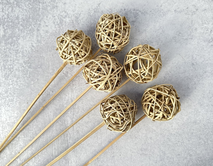 Lata Ball - Luv Sola Flowers - Dried Botanicals