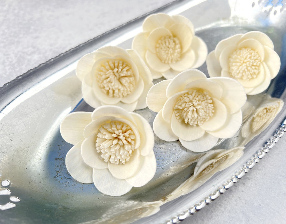 Sola Wood Flowers - Luna - Luv Sola Flowers