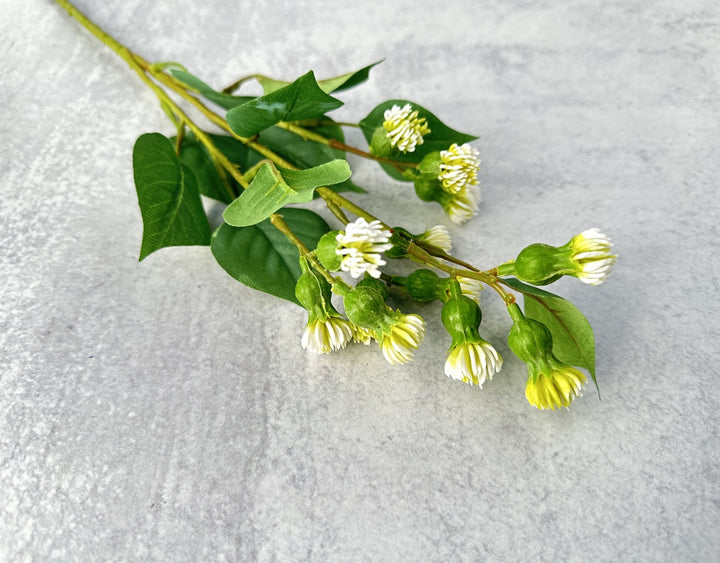 Meadow Thistle - Luv Sola Flowers - Faux Filler