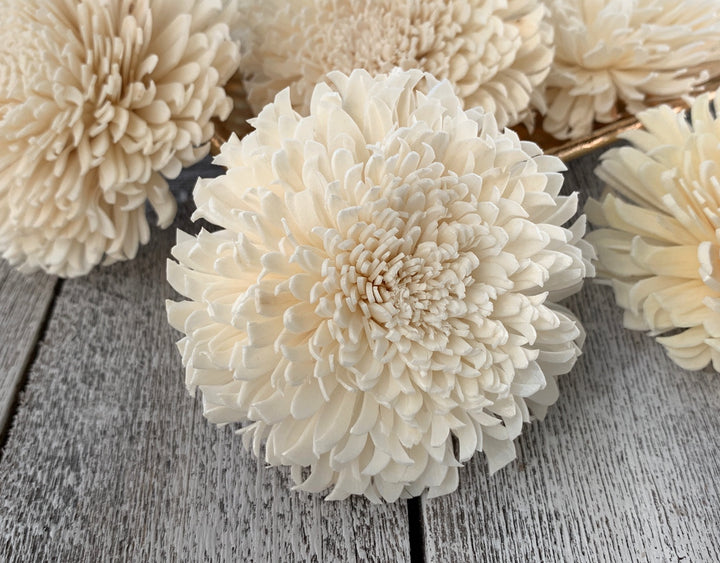 Sola Wood Flowers - Milky Way - Luv Sola Flowers