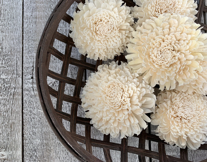 Sola Wood Flowers - Milky Way - Luv Sola Flowers