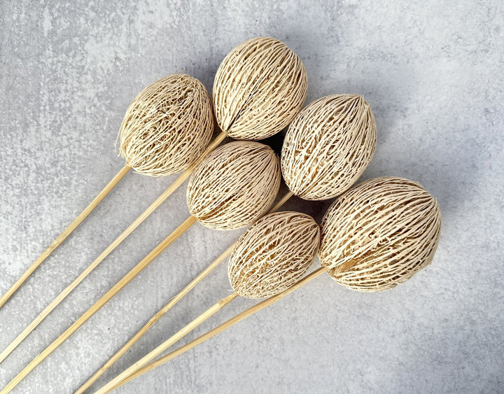 Mintolla Ball Bleached - Luv Sola Flowers - Dried Botanicals