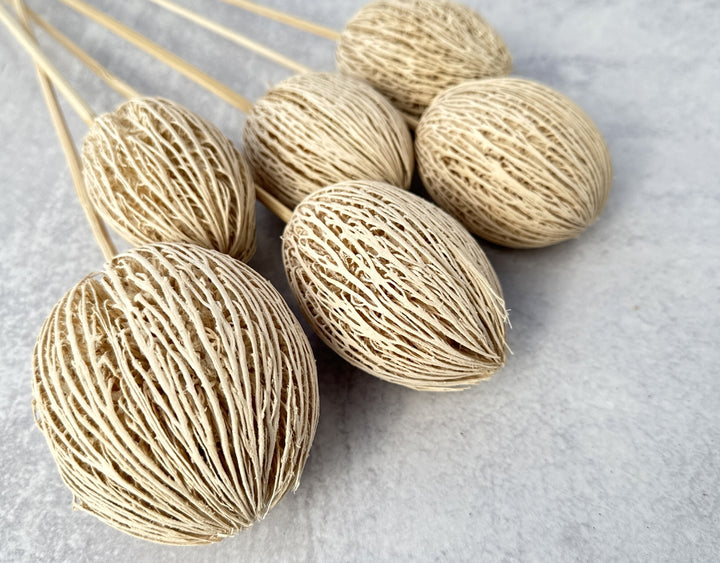 Mintolla Ball Bleached - Luv Sola Flowers - Dried Botanicals