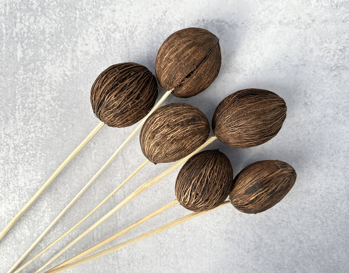 Mintolla Ball Natural - Luv Sola Flowers - Dried Botanicals