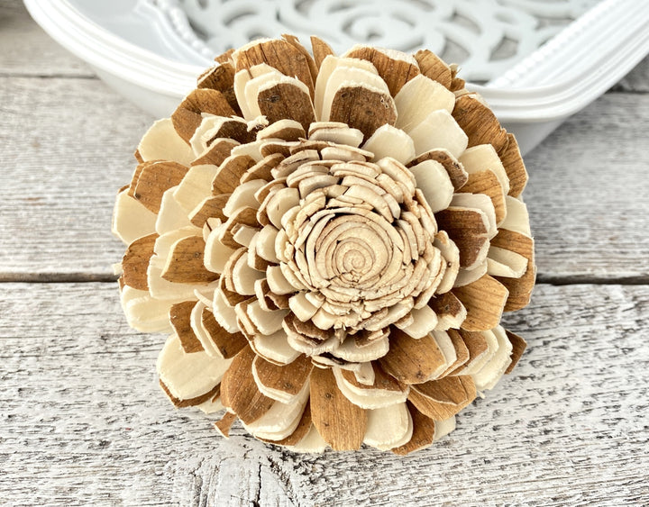 Sola Wood Flowers - Mixed Beli - Luv Sola Flowers