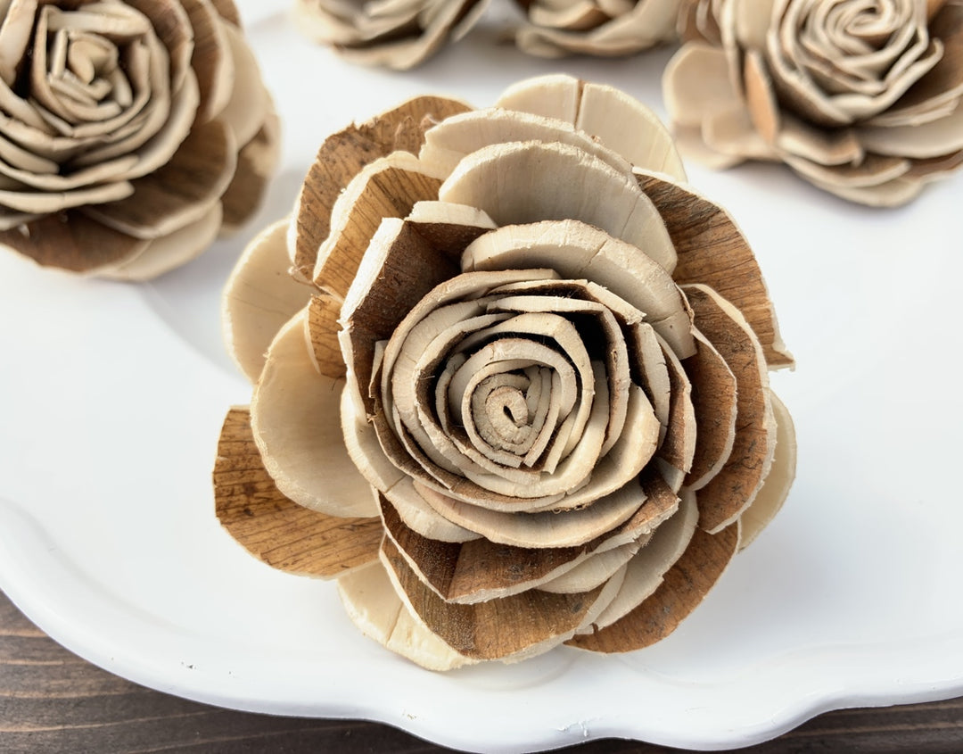 Sola Wood Flowers - Mixed New Beauty