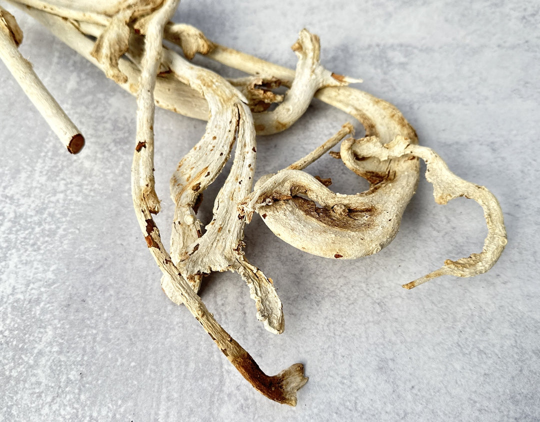 Nataraj Bleached - Luv Sola Flowers - Dried Botanicals