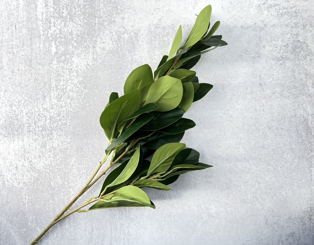 Oval Leaf Ficus - Luv Sola Flowers - Faux Filler