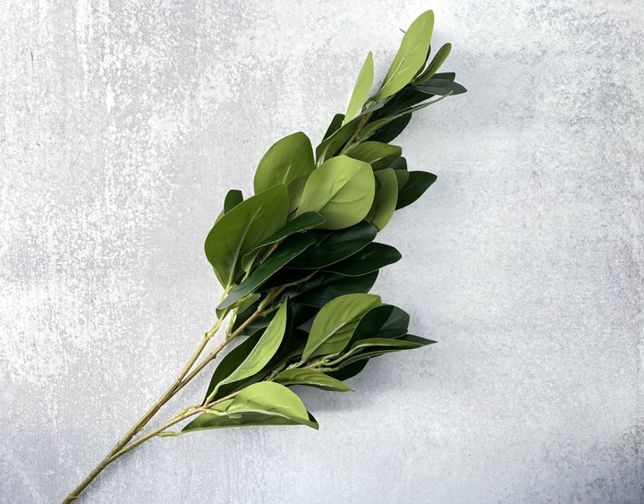 Oval Leaf Ficus - Luv Sola Flowers - Faux Filler