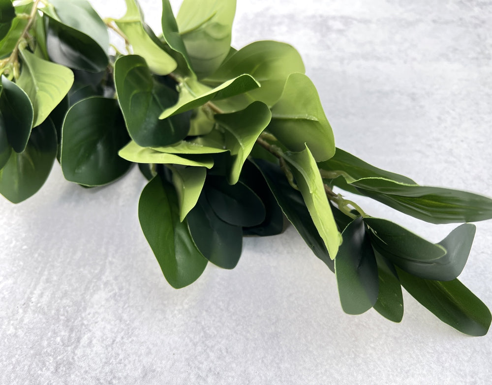 Oval Leaf Ficus - Luv Sola Flowers - Faux Filler