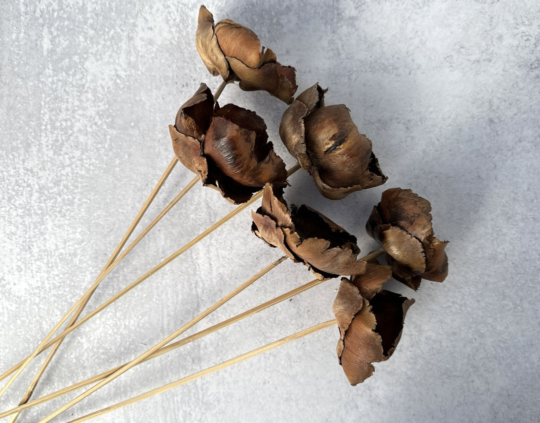 Palm Cap - Luv Sola Flowers - Dried Botanicals