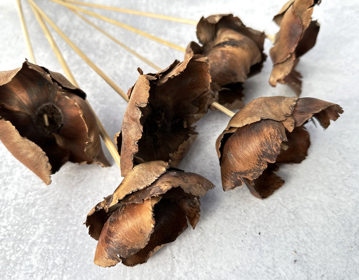 Palm Cap - Luv Sola Flowers - Dried Botanicals