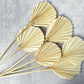Palm Spear Round Cut Bleached - Luv Sola Flowers - Dried Botanicals