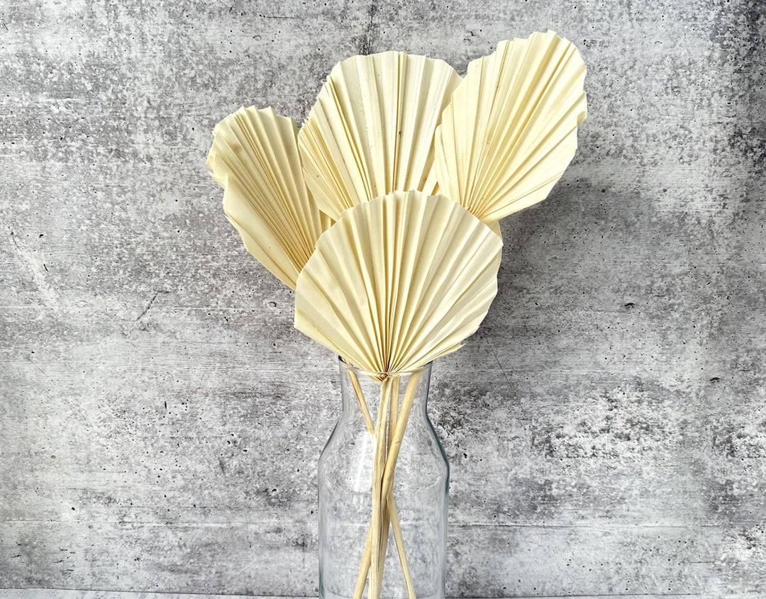 Palm Spear Round Cut Bleached - Luv Sola Flowers - Dried Botanicals