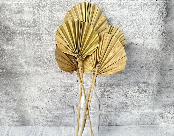Palm Spear Round Cut Natural - Luv Sola Flowers - Dried Botanicals
