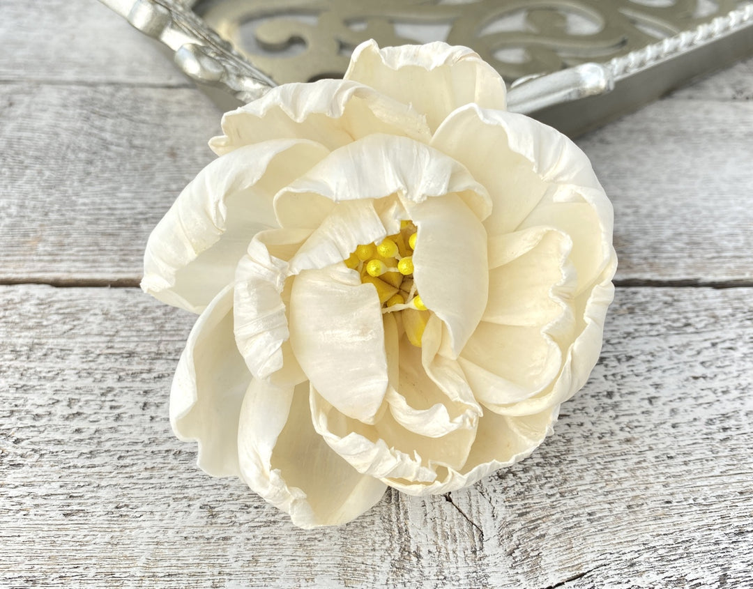 Sola Wood Flowers - Peony - Luv Sola Flowers
