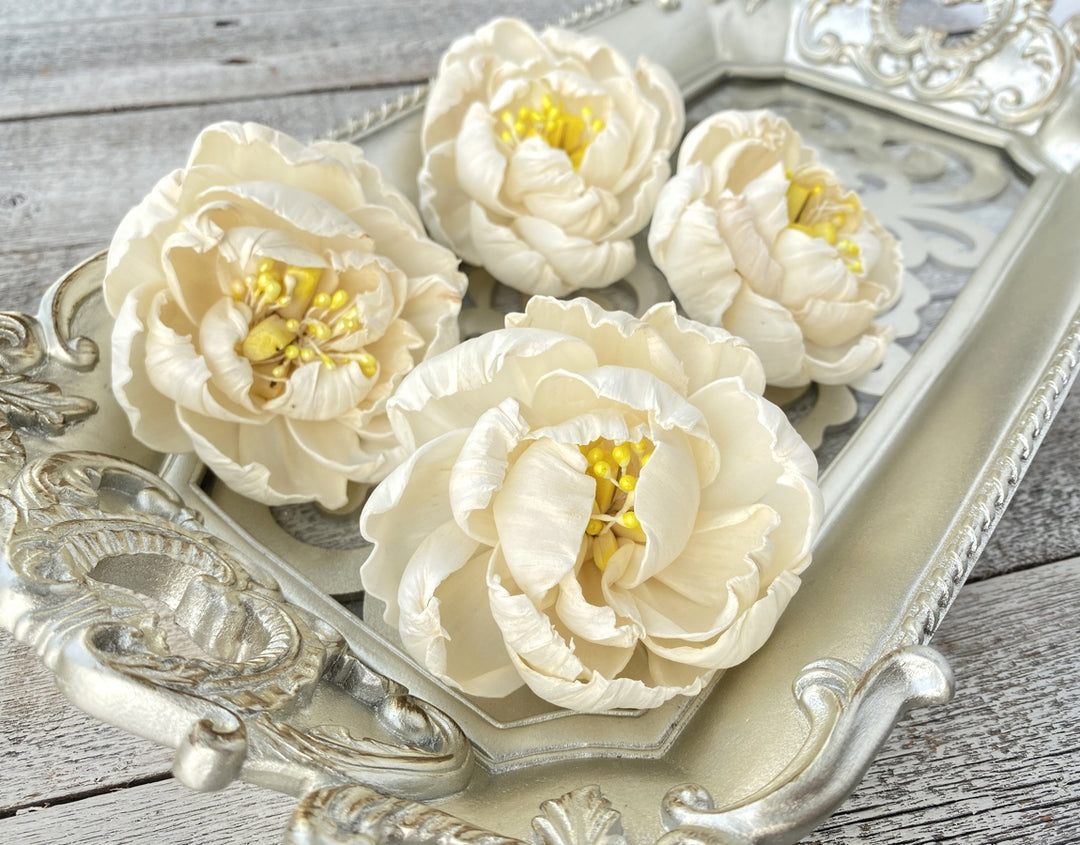 Sola Wood Flowers - Peony - Luv Sola Flowers