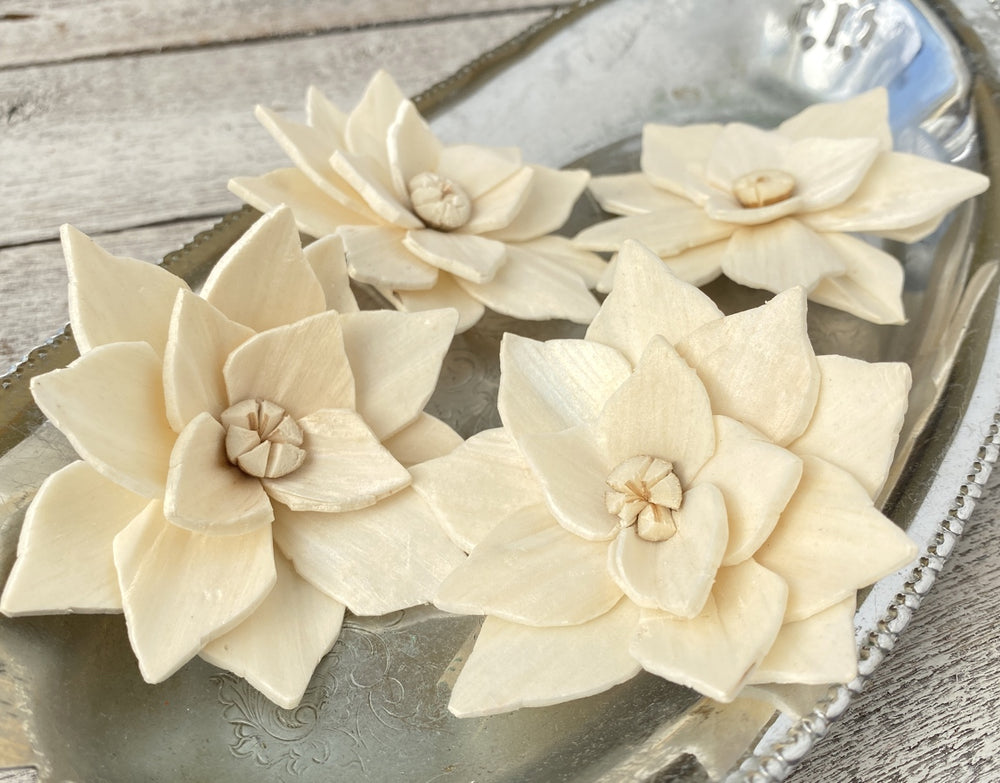 Sola Wood Flowers - Poinsettia