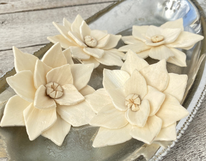 Sola Wood Flowers - Poinsettia