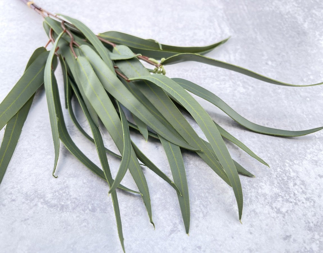 Real Touch Weeping Willow Eucalyptus Faux - Luv Sola Flowers - Faux Filler