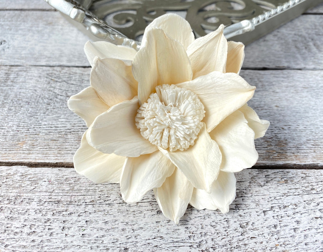 Sola Wood Flowers - Reflection - Luv Sola Flowers