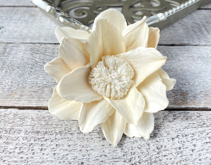 Sola Wood Flowers - Reflection - Luv Sola Flowers