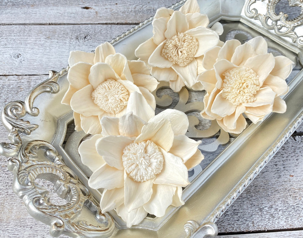 Sola Wood Flowers - Reflection - Luv Sola Flowers