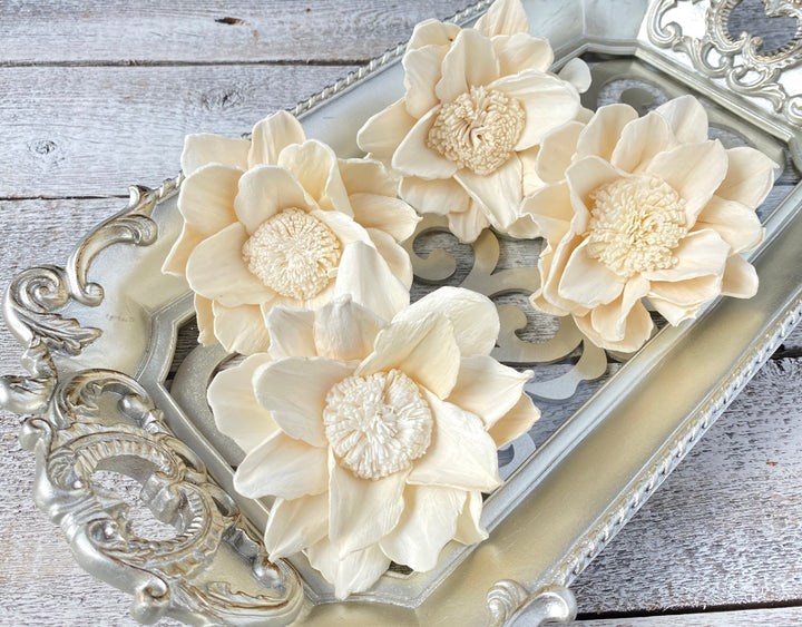 Sola Wood Flowers - Reflection - Luv Sola Flowers