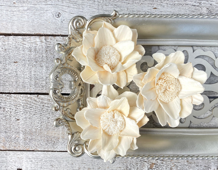 Sola Wood Flowers - Reflection - Luv Sola Flowers