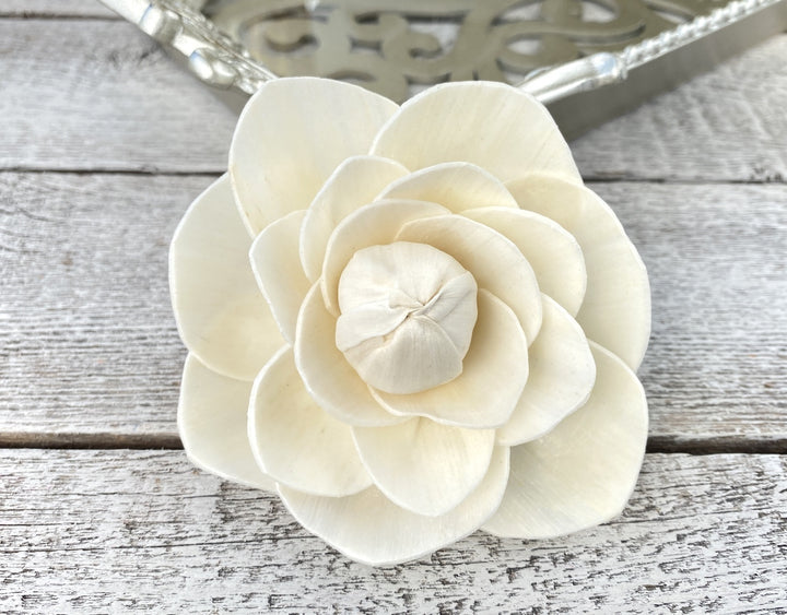 Sola Wood Flowers - Regina - Luv Sola Flowers