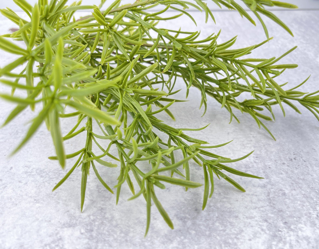 Rosemary Pick Faux - Luv Sola Flowers - Faux Filler