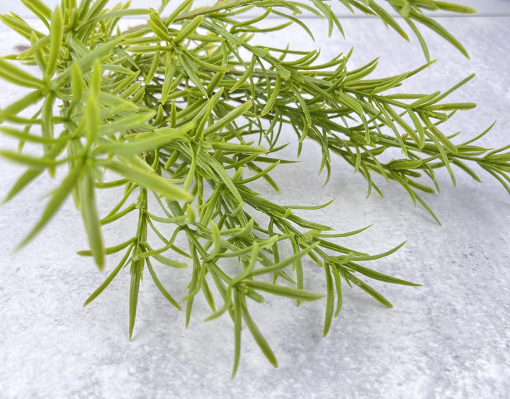 Rosemary Pick Faux - Luv Sola Flowers - Faux Filler